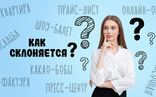 Как склоняется «счёт-фактура»?