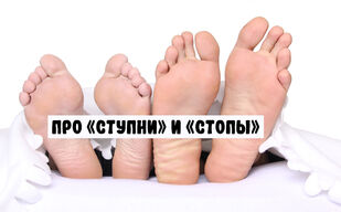 Сту́пни или ступни́, сто́пы или стопы́?