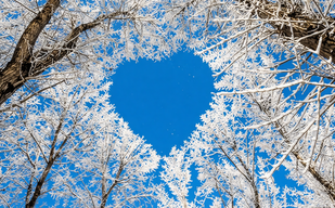 День, когда открывается небо 